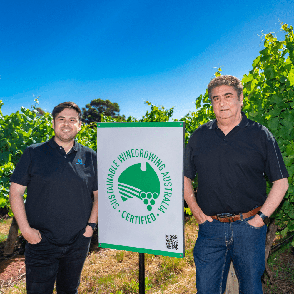 Supporting a Greener Future for Winegrowing - Brand's Laira